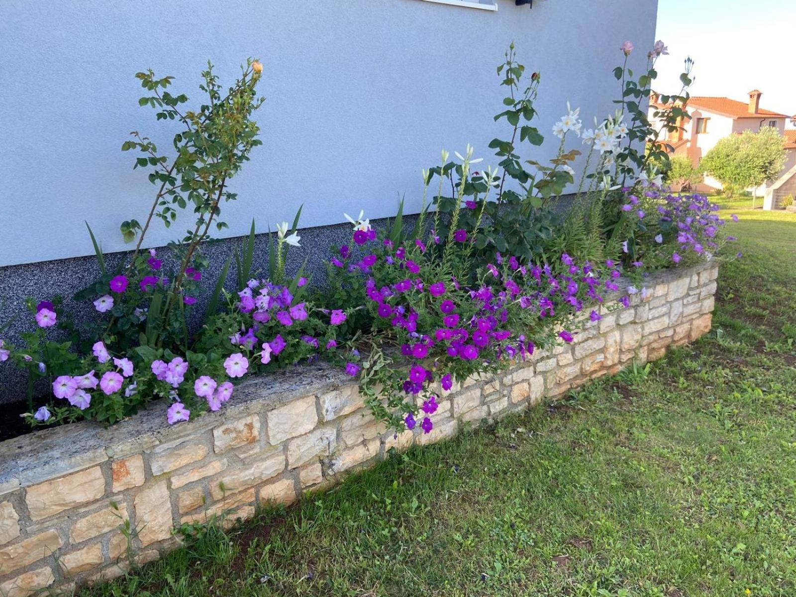 Holiday Home Mihaela Višnjan Exterior foto